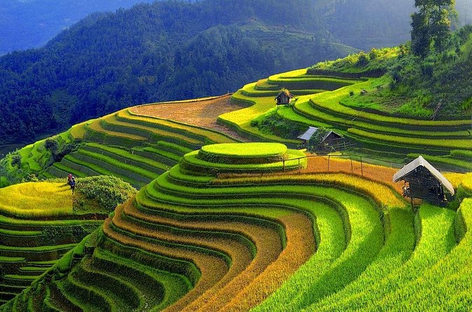 Sapa Trekking Tours - 2 Days 1 Night Stay At Homestay - Should You Book This 2 Days 1 Night Sapa Trek?