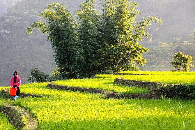 Sapa Valley Trek and Homestay - 3D2N - Day 1: Y Linh Ho to Ta Van Village With a Homestay Reset