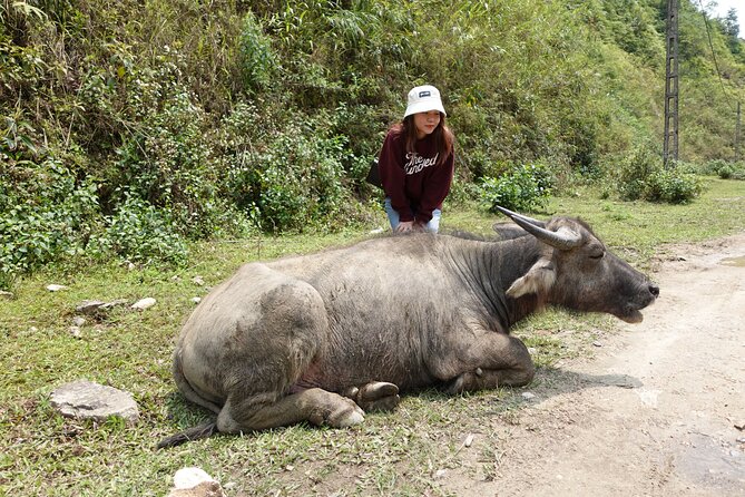 Sapa Valley Trek and Homestay - 3D2N - Day 3: Tay Culture in Traditional Houses and Nam Tong Village