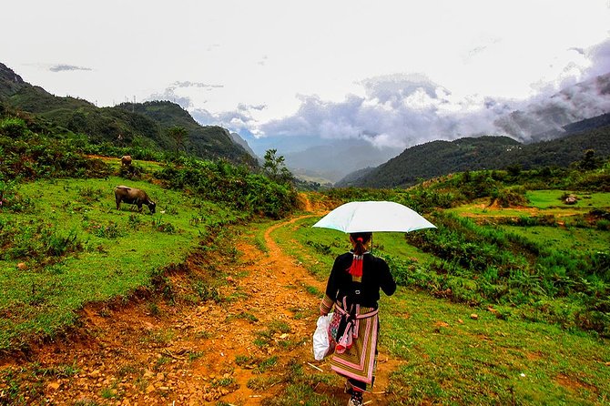 Sapa Valley Trek and Homestay - 3D2N - Price and Value: Is $170 Worth It for 3D2N in Sapa?