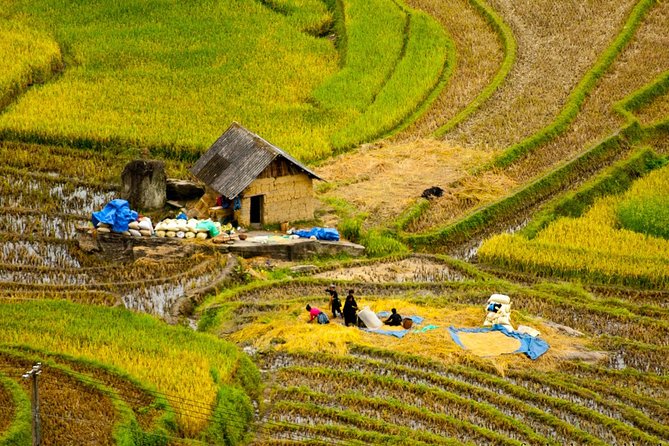 Sapa Villages trekking and homestay 2 Days/ 1 night package tour: best selling - Day 1: Y Linh Ho terraces, Lao Chai breaks, then Ta Van homestay