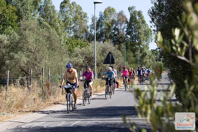 Sardinia Trekking Bike Rental - Terrain reality check: what the trekking bike hints about road conditions