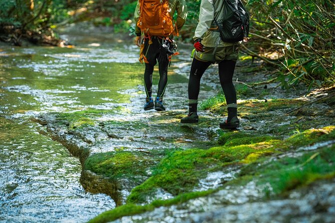 Sawanobori River Trekking Tour - Price and Value: Is $140 Fair for a River Trek + Coffee?