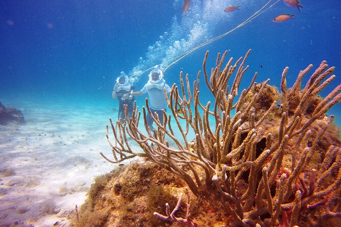Sea Trek Adventure at Chankanaab National Park - What makes Sea Trek in Cozumel feel so doable