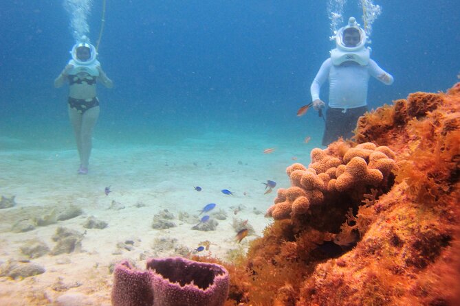 Sea Trek Adventure at Chankanaab National Park - Underwater walking at the reef: what you’ll see (and how long you’ll be down there)