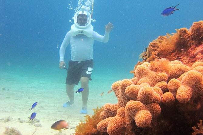 Sea Trek Adventure at Chankanaab National Park - After Sea Trek: free snorkel gear and how to use it well