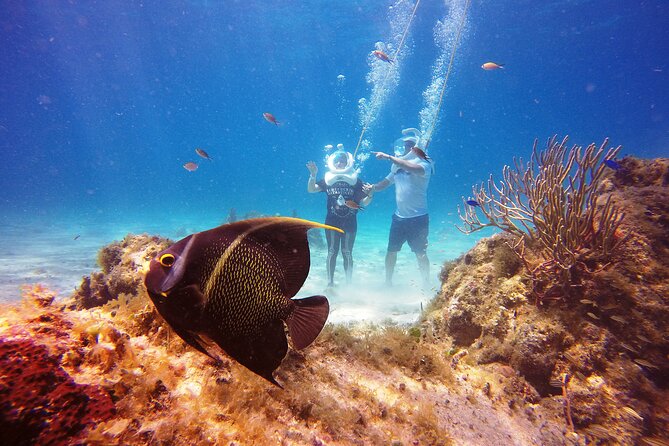 Sea Trek Adventure at Chankanaab National Park - Group size, timing, and why you shouldn’t stack plans