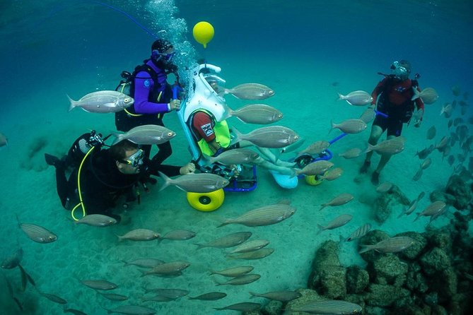 Sea Trek and Diving for handicaped people - Key things that make this Sea Trek experience work