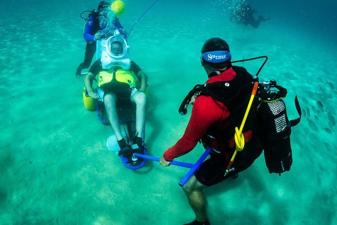 Sea Trek and Diving for handicaped people - The real “itinerary”: a 3-hour rhythm you can trust