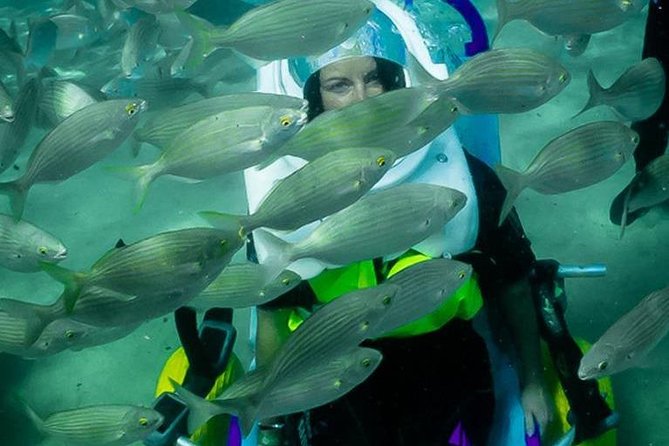 Sea Trek and Diving for handicaped people - Sea Trek time: moving at seabed level with a safety-first team