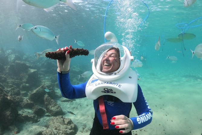 Sea Trek (exclusive in Lanzarote) - Marine life spotting: the fish show up when you slow down