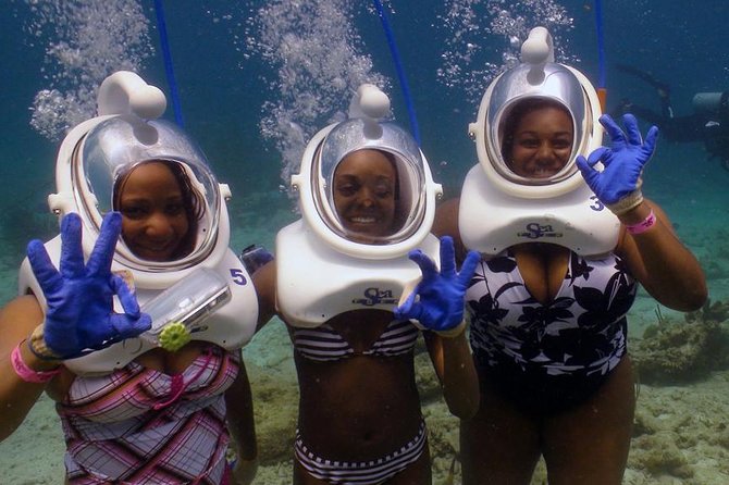Sea Trek Helmet Dive at Coral World Ocean Park - Meeting at Coki Point Road and Getting Set Up Fast
