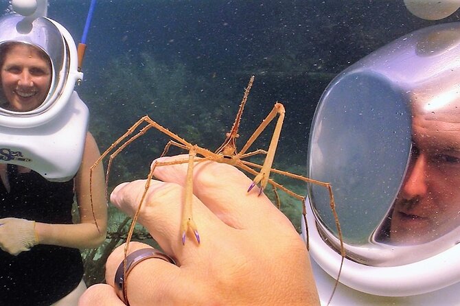 Sea Trek Helmet Dive at Coral World Ocean Park - Is $119 Good Value? What You Actually Pay For
