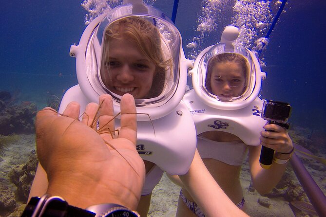 Sea Trek Helmet Dive at Coral World Ocean Park - Who Should Book Sea Trek at Coral World (and Who Might Regret It)