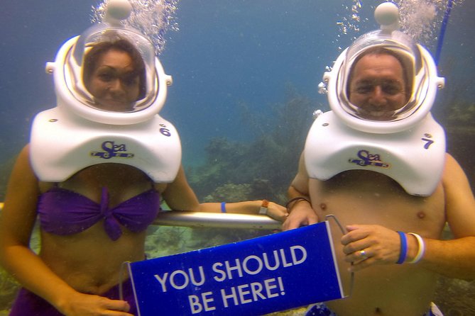 Sea Trek Helmet Dive at Coral World Ocean Park - The Underwater Helmet Walk Near Coral World’s Observation Area