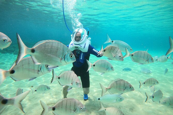 Sea Trek Underwater Walk in Tenerife – No Swimming Required - Meet at Paseo Aquilino: gear up with minimal stress