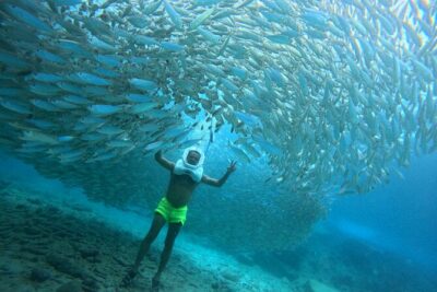 Sea Trek Underwater Walk in Tenerife – No Swimming Required - Volcán El Teide on the land start: Tenerife context before the ocean floor