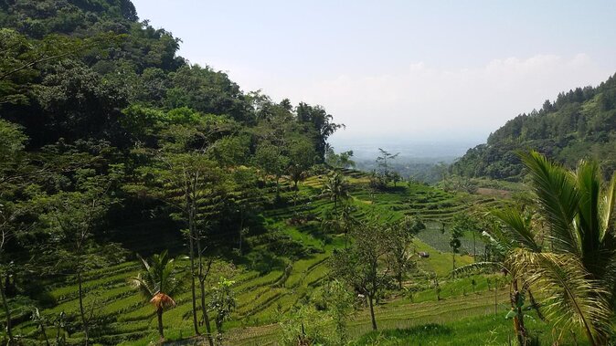Selogriyo Temple and Trekking Java Rice Terraces, hidden waterfall -Nature Java - Key highlights you’ll care about