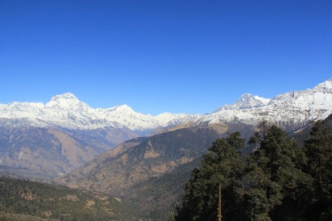 Short Annapurna Base Camp Trek - 7 Days - Guide + porter quality: the difference between a trek and a trip