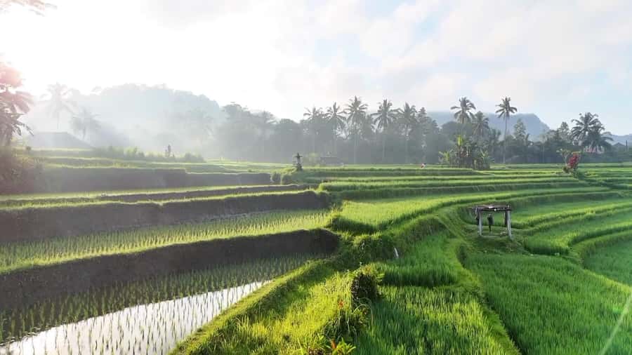 Sidemen rice terraces trek and local village walk - Key Takeaways Before You Go
