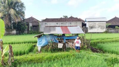 Sidemen rice terraces trek and local village walk - Getting Started at Ming Homestay (or From Your Hotel)