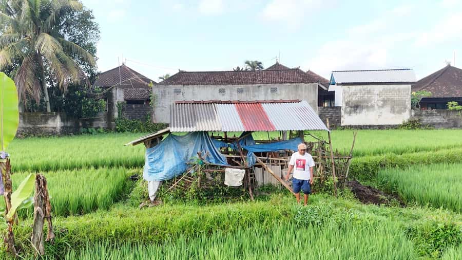 Sidemen rice terraces trek and local village walk - Getting Started at Ming Homestay (or From Your Hotel)