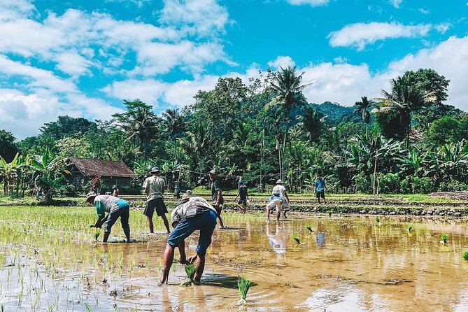 Sidemen Trekking: A Walk from a Different Perspective - Irrigation Paths and the Hanging Wooden Bridge