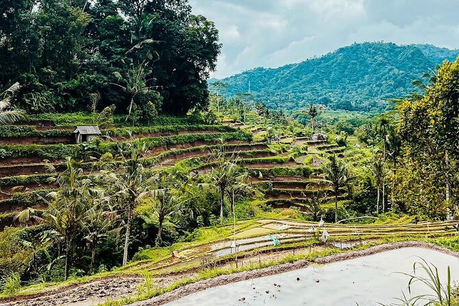 Sidemen Trekking: A Walk from a Different Perspective - The one-way route toward Mount Agung views (and why it feels different)