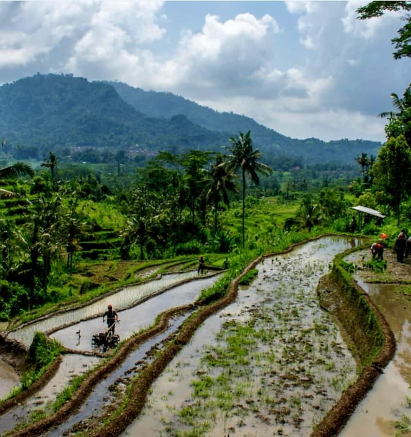 Sidemen Trekking: A Walk from Different Perspective - Quick reasons this trek is worth your time