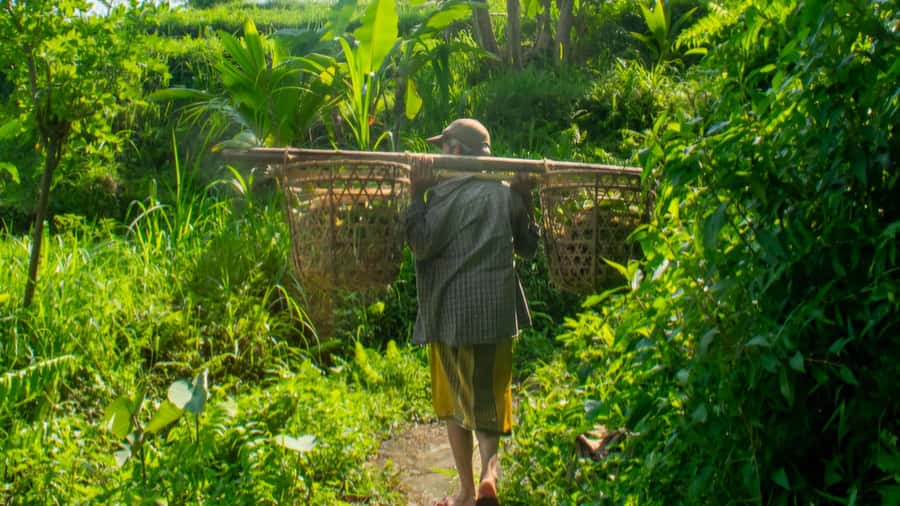 Sidemen Trekking: A Walk from Different Perspective - Entering Pasar Sidemen and UPA BOGA: the day starts like a local