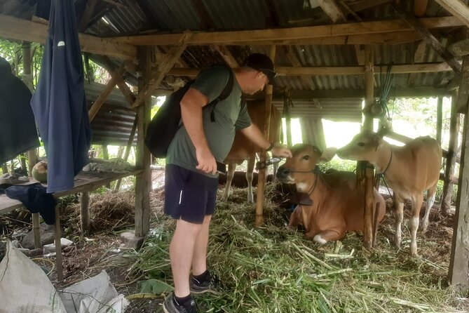 Sidemen Trekking Through Rice Terraces and Villages - Temples, farmers, and the daily rhythm you actually notice
