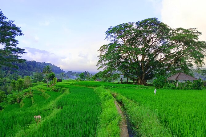 Sidemen Trekking with Cultural Encounters and Nature Views - Lepusa Sidemen trekking: where the hard-to-find paths shine