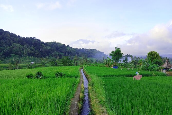 Sidemen Trekking with Cultural Encounters and Nature Views - The real value: pacing, not just places