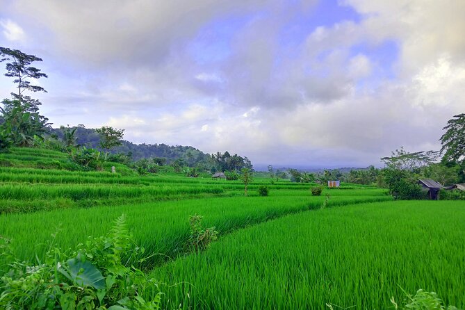 Sidemen Trekking with Cultural Encounters and Nature Views - Guides can make it click: Gede and French-friendly explanations