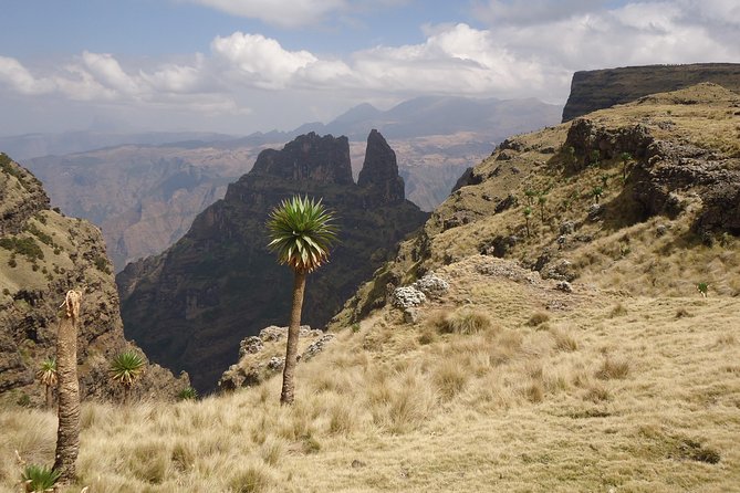 Simien Mountains National Park – 7 Day Trek - Gondar start and the planning support that keeps it smooth