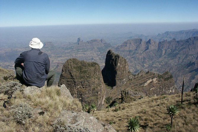 Simien Mountains Trekking Adventure - Day 3: Giant Lobelia plateaus, Imet Gogo at 3,926m, and Siha Gorge
