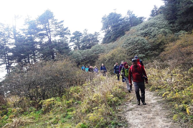 Singalila Ridge Trek from Darjeeling - 6 Days - Day 1: Gurdum and the First Highlands Feeling