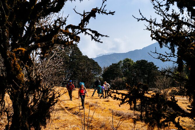 Singalila Ridge Trek from Darjeeling - 6 Days - Day 2: The Steep Push to Sandakphu