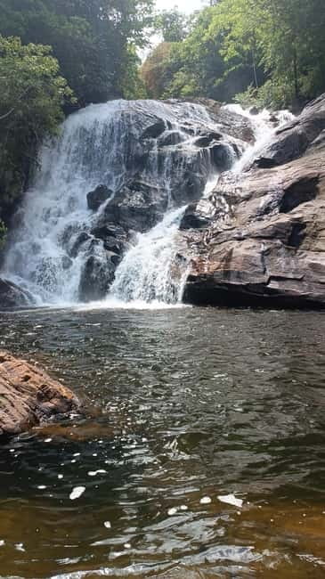 Sinharaja Rainforest: Tour with 5 Waterfalls Trek - Key things I’d plan for before you go