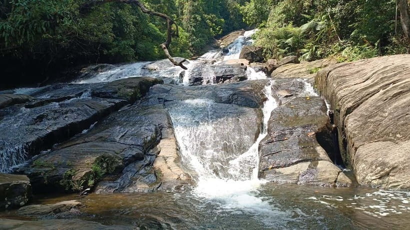Sinharaja Rainforest: Tour with 5 Waterfalls Trek - Why Sinharaja and five waterfalls in one day