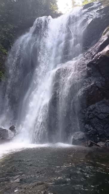 Sinharaja Rainforest: Tour with 5 Waterfalls Trek - The first rainforest steps: your tracker, the short walk, and the climb