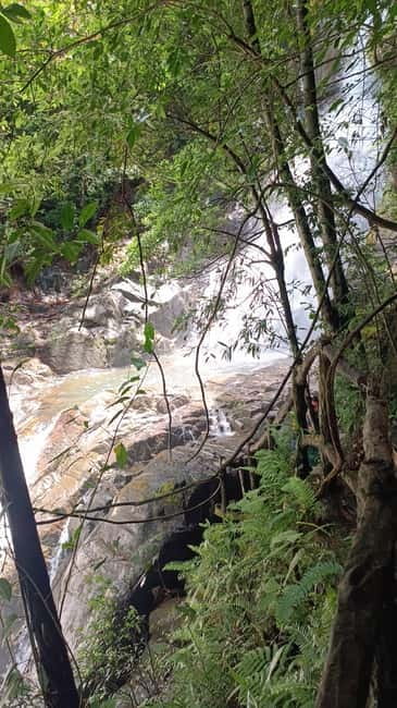 Sinharaja Rainforest: Tour with 5 Waterfalls Trek - Finding five falls: how the waterfalls stops work and what to pack