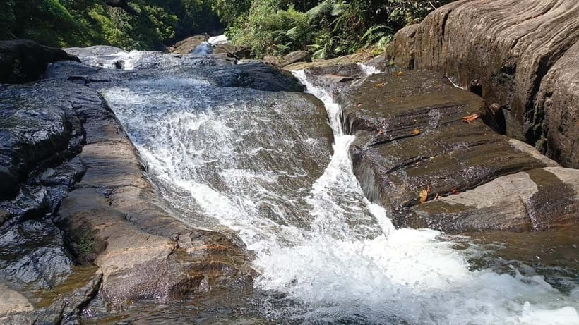 Sinharaja Rainforest: Tour with 5 Waterfalls Trek - Transport, tickets, and guides: what’s included (and what you’ll pay extra for)