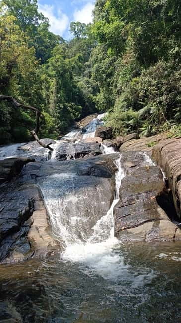 Sinharaja Rainforest: Tour with 5 Waterfalls Trek - Price and value: is $95 fair for this kind of day?