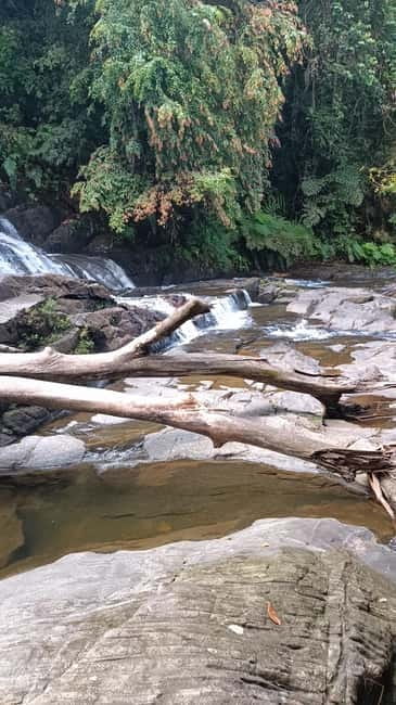Sinharaja Rainforest: Tour with 5 Waterfalls Trek - Getting there: pickup from the south coast and the drive inland