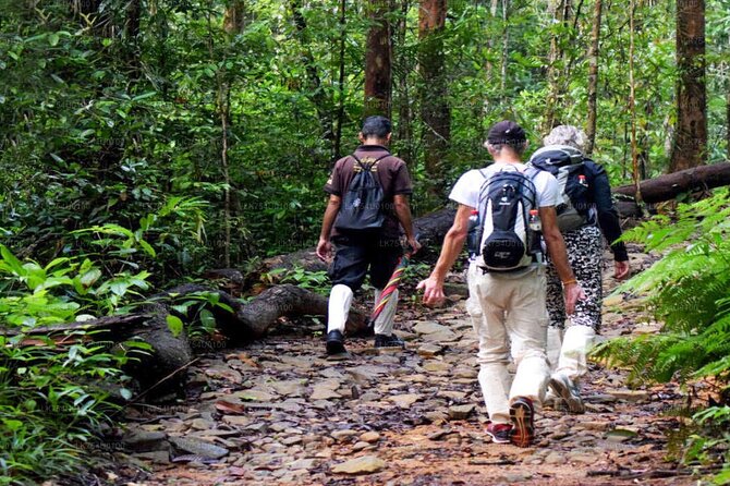 Sinharaja Rainforest Trekking Private Day Trip with Local Lunch - Why this Sinharaja trek works best as a Bentota day trip