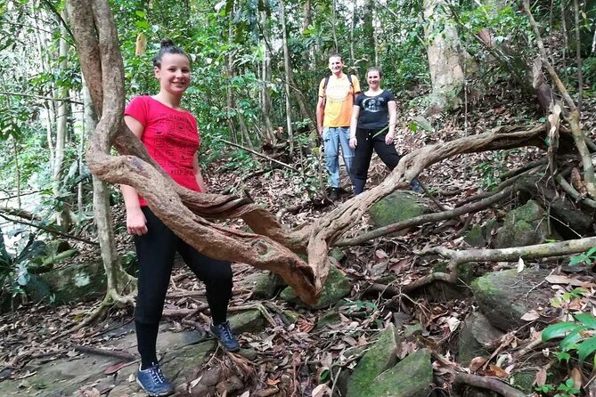 Sinharaja Rainforest Trekking Private Day Trip with Local Lunch - Timing and pacing: what an 8–10 hour day really means
