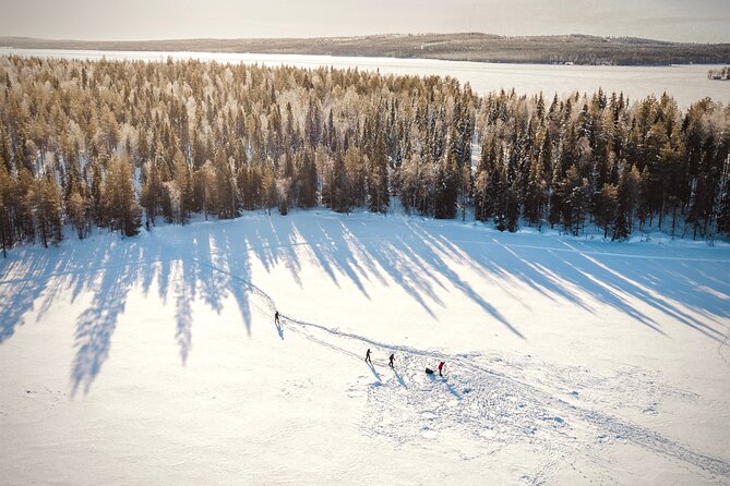 Ski Trekking Safari in Lapland - Value for $131.32: what you’re paying for (and what you’re not)