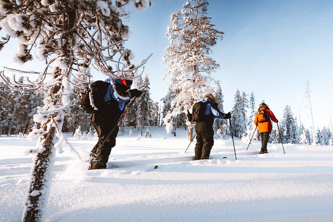 Ski Trekking Safari in Lapland - Should you book this Ski Trekking Safari in Lapland?