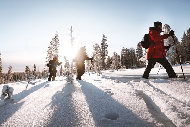 Ski Trekking Safari in Lapland - The ski session: learning the basics fast (and why the guide’s choice matters)